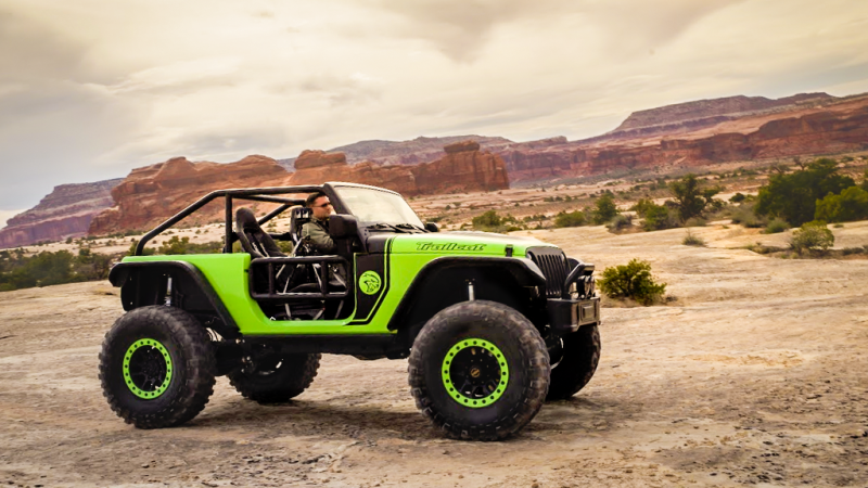2016 Jeep Trailcat